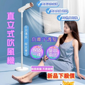 風機 懶人吹風機 冷暖出風 110V 落地吹風機 站立吹風機