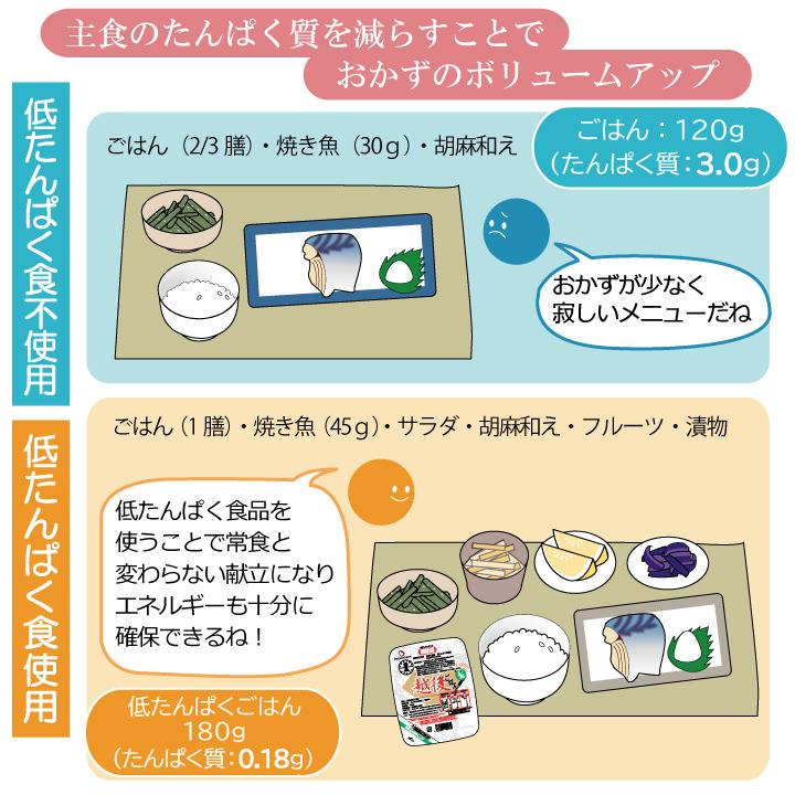 低たんぱく　1 20越後ごはん(150g×20個)バイオテックジャパン たんぱく質調整食品　ごはん　米　低タンパク　腎臓病　CKD