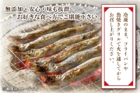  子持ち カラフトシシャモ ２kg (500g×4袋) 訳アリ シシャモ ししゃも カラフトししゃも 大洗 規格外 訳あり わけあり 傷 ヤマイシ アイスランド産