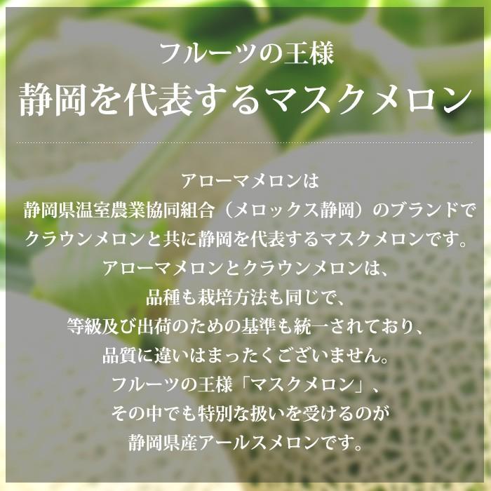 メロン 静岡県産 アローマメロン 約2.6kg以上（約1.3kg以上×2玉） プレミアムフルーツセレクション