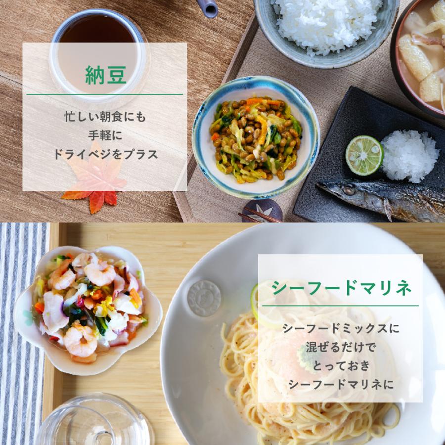 乾燥野菜 国産 DRYVEGETABLE 140ｇドライベジ ミックス 野菜 一人暮らし 常備菜 時短 味噌汁の具 キャベツ 白菜 小松菜 人参 大根 玉ねぎ