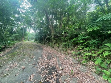 近大溪市區自然芬多精養生農舍｜桃園市大溪區信義路