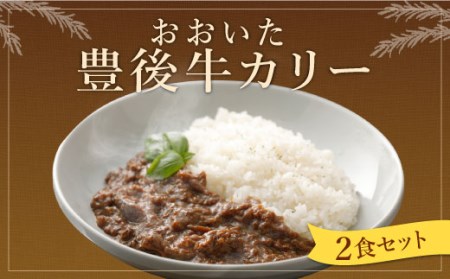 013-306 おおいた 豊後牛 カリー 2食 セット 計400g カレー レトルト