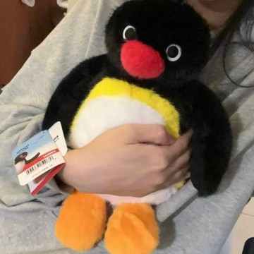 免運✨pingu企鵝家族 超能力系列 炸毛企鵝 毛絨玩具 企鵝玩偶 可愛公仔 睡覺抱枕 安撫娃娃 床上裝飾