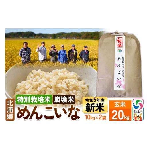 ふるさと納税 秋田県 仙北市 新米令和5年産 玄米 10kg2袋