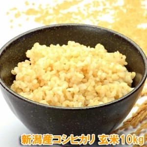 令和5年産 新潟コシヒカリ 10kg 玄米 送料無料　 新潟玄米 農薬節減（7割減） 有機肥料栽培米・残留農薬ゼロ（検査済） こし