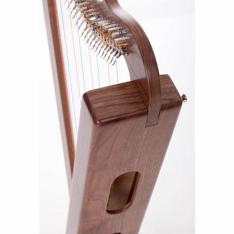 Special Edition Fullsicle Harp / フルシクルハープ スペシャル