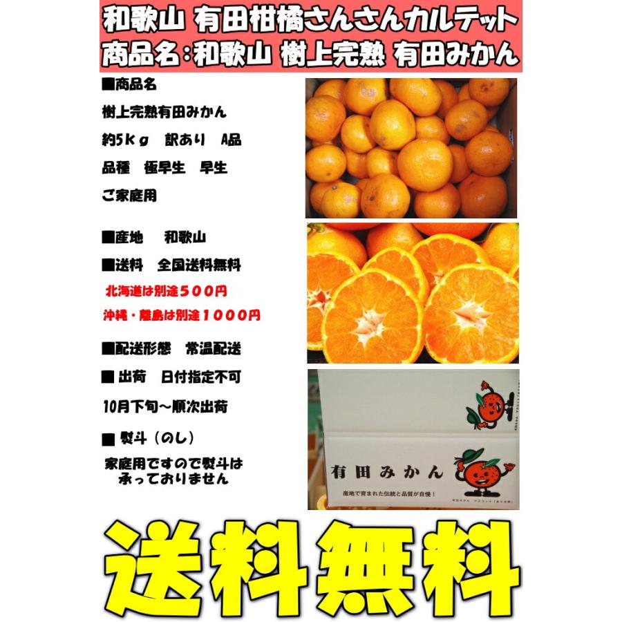 みかん 有田 訳あり 甘い 糖度 送料無料 和歌山 有田柑橘さんさん 樹上完熟 わけあり A品 早生 有田みかん 5kg 2l〜ss 家庭用 箱 買い ありたみかん 有田ミカン