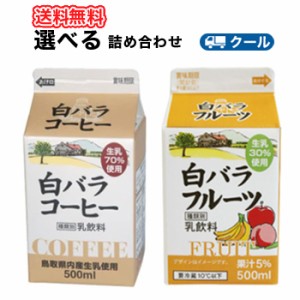 白バラ　コーヒー・フルーツ選べるセット2種類×10本クール便　紙パック