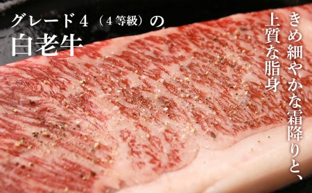 白老牛〈4等級〉ロースステーキ(150g×4枚)(たれ付)