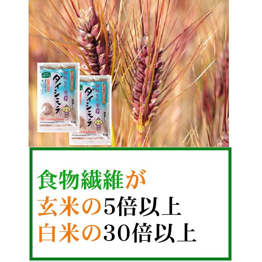 ダイシモチ讃岐もち麦2ｋｇ（500ｇ×4袋）香川県産　送料無料