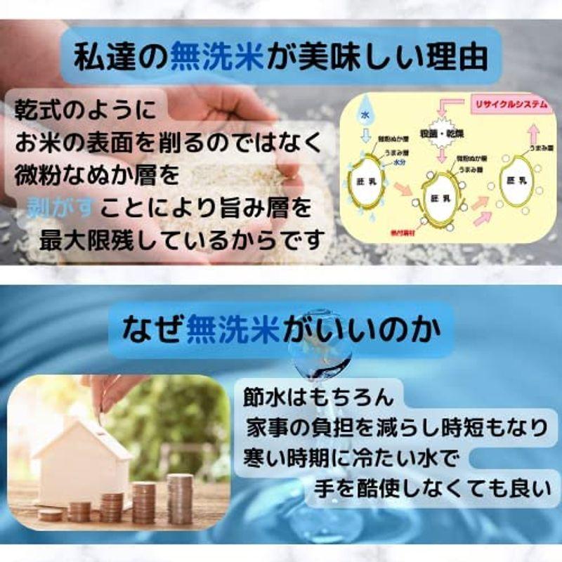 無洗米 会津産コシヒカリ 10KG（5kg×2袋） 令和4年産 会津CROPS グラントマト