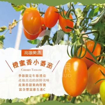 【初品果】☆高雄美濃橙蜜香小番茄禮盒 3斤 (1盒/2盒/4箱/8盒)-廠商直送