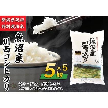 ふるさと納税 魚沼産川西こしひかり5kg×5　新潟県認証特別栽培米　令和５年度米 新潟県十日町市