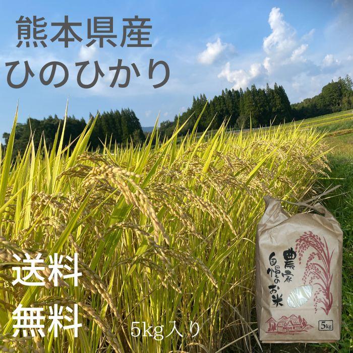 令和5年新米 ひのひかり 5kg 有機栽培米 送料無料 有機栽培 農家直送