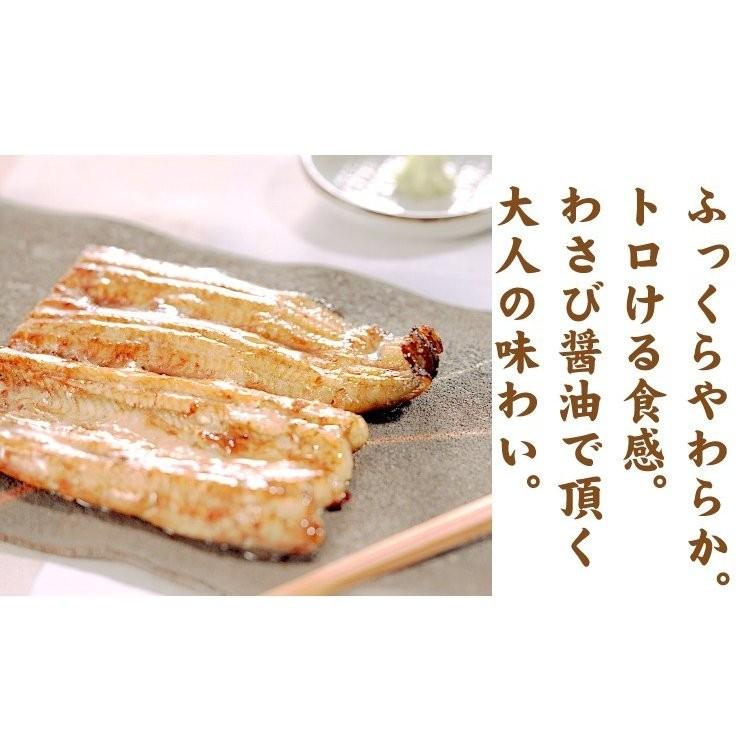 蒲焼き1本＆白焼き1本 国産 真空パック 浜名湖 長焼き 2人前  送料無料