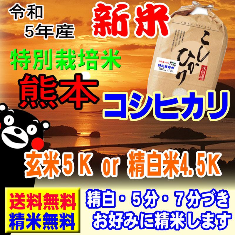 新米 令和5年産 特別栽培米 天草 コシヒカリ 5kg 熊本県 JAあまくさ産 玄米 白米 7分づき 5分づき 3分づき 