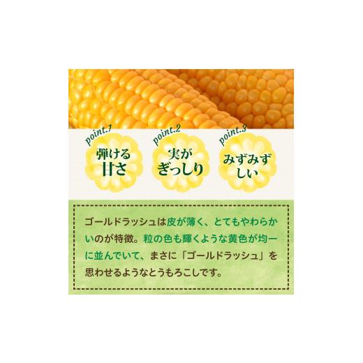 ふるさと納税 北海道 芽室町 北海道十勝芽室町　とかち晴れ　十勝めむろスイートコーン 13本入り　me010-005-24c