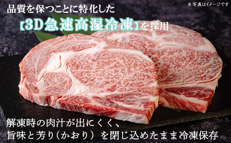 宮崎牛 ヒレ 150g×3 セット 合計450g ステーキソース付き 牛肉 ギフト箱入り A4 ブランド牛 冷凍 送料無料 国産 牛肉 南海グリル 贈り物 プレゼント 牛肉 ギフト 父の日 牛肉 母の日 お歳暮 牛肉 希少部位 ３D急速高湿冷凍 牛肉 旨味 ステーキ