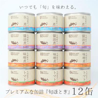 ふるさと納税 松浦市 缶詰工場直送　伝統のさば缶「旬ほとぎ」4種類の味わい12缶