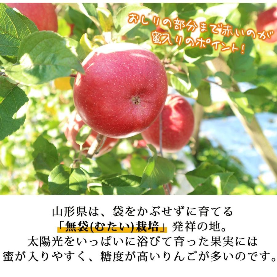 フルーツ りんご 3kg 約12玉 ふじりんご お徳用 12月発送予定 山形県産 送料無料 蜜入り