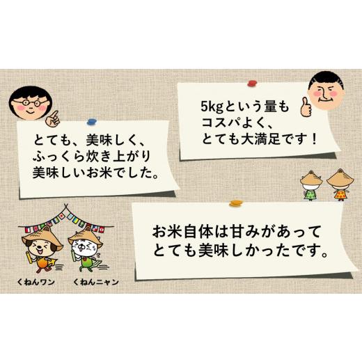 ふるさと納税 佐賀県 神埼市 令和5年産 夢しずく5kg (H015149)