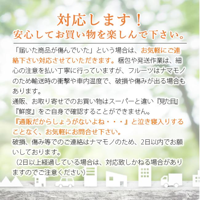 梨 3kg 新高 豊水 新興 幸水 贈り物 ギフト 農家直送 減農薬 特別栽培 新潟 果物