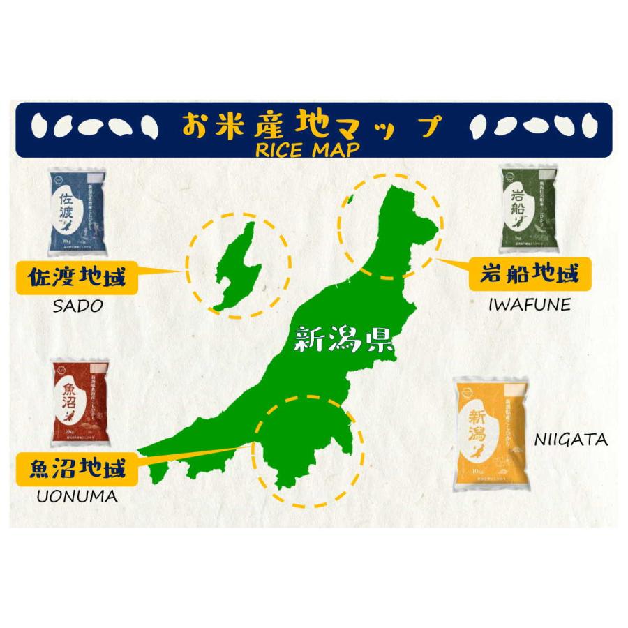 新米 令和５年産 米 お米 3kg 送料無料 新潟産 コシヒカリ 精米