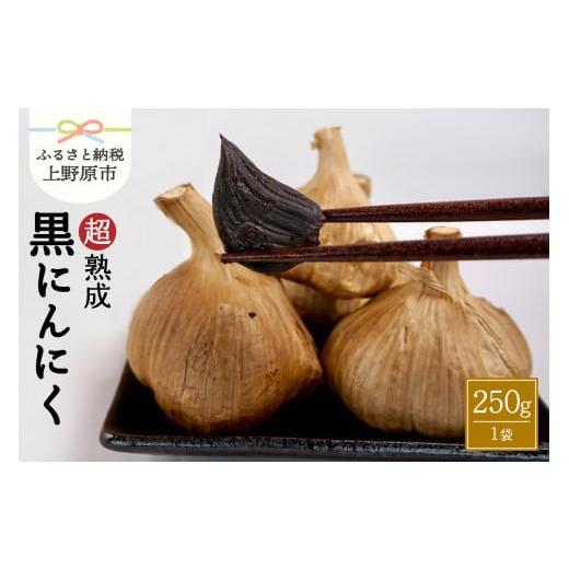 ふるさと納税 山梨県 上野原市 超熟成黒にんにく×1袋（250g）