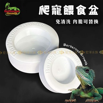 宏洋水族【爬寵-防逃食盆／餵食盆】爬蟲食盆 守宫食盆 守宮水盆 水盆 食盆陸龜 防逃食盆 陶瓷食盆 陸龜食盆 爬蟲水盆