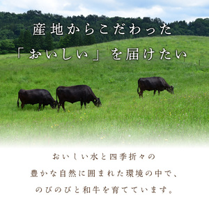 ステーキ／京都産和牛「サーロインステーキ」（約200ｇ×3枚）＜京都産黒毛和牛のサーロインをステーキで＞牛肉・ステーキ肉・シート個包装