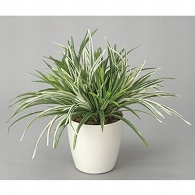 ポイント10倍《アートグリーン》《人工観葉植物》光触媒　光の楽園　ドラセナミックス