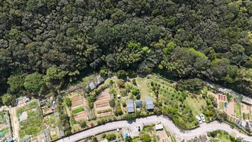 近虎頭山休閒渡假391坪農地B｜桃園市龜山區楓壽段