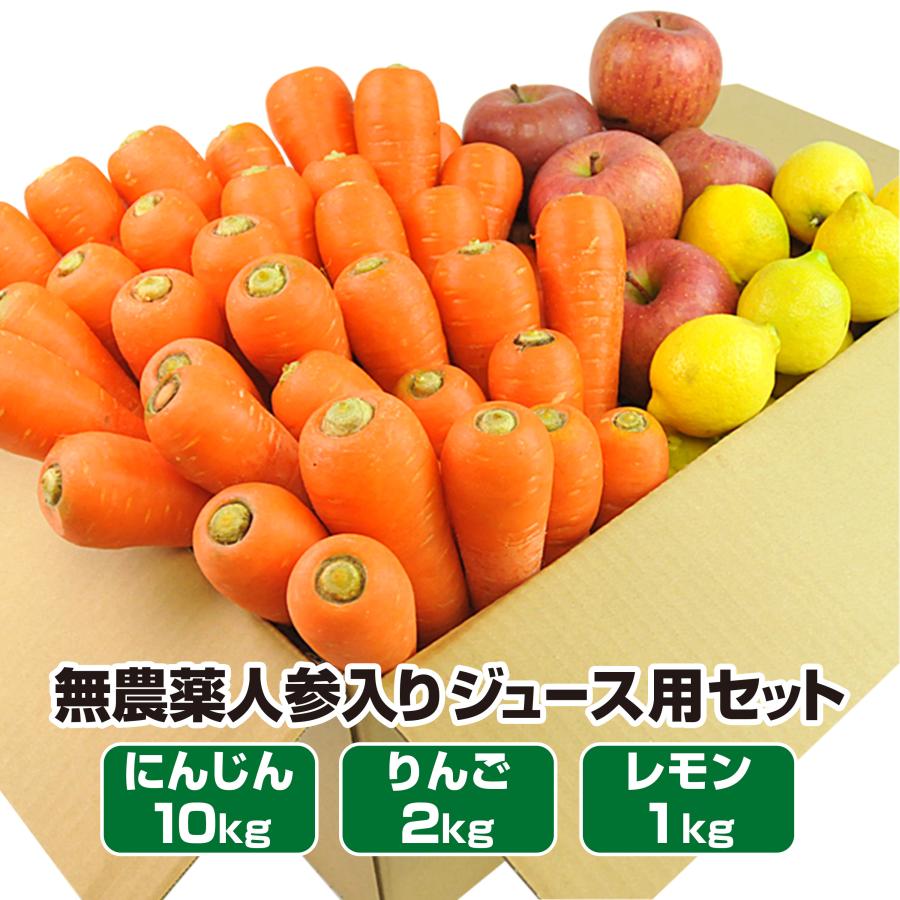 人参 無農薬にんじん 野菜セット 無農薬野菜 にんじんジュース ジュース用 10kg＋りんご2kg＋レモン1kg ゲルソン療法にも最適 訳あり