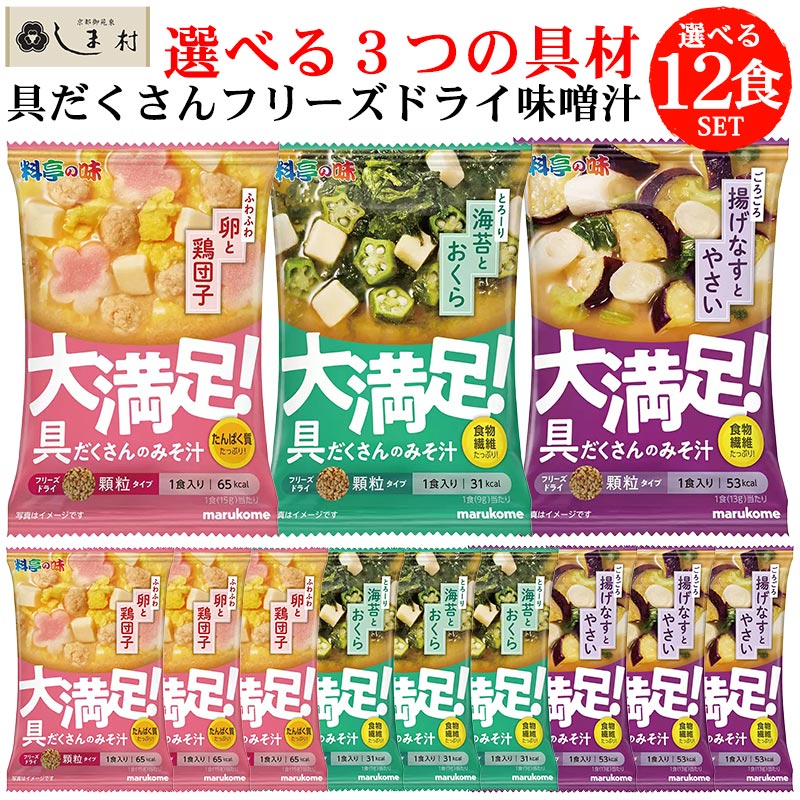 フリーズドライ 味噌汁 顆粒 「 大満足みそ汁 選べる 12食セット 」 なすと野菜 海苔おくら 卵と鶏団子 送料無料 メール便