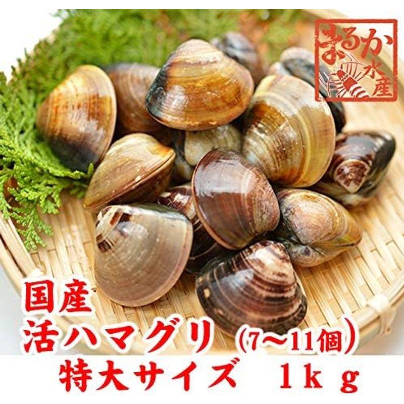 活はまぐり 特大サイズ 90ｇ?140ｇ 7?11個 1ｋｇ分 国産 はまぐり