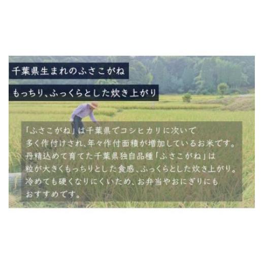 ふるさと納税 千葉県 大網白里市 ＜6ヶ月定期便＞千葉県産「ふさこがね」5kg×6ヶ月連続 計30kg ふるさと納税 米 定期便 5kg ふさこがね 千葉県 大網白里市 送…