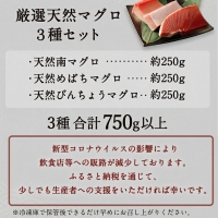 厳選 天然 マグロ ３種 セット７５０ｇ以上 南マグロ メバチマグロ ビンチョウマグロ 冷凍 海鮮 丼