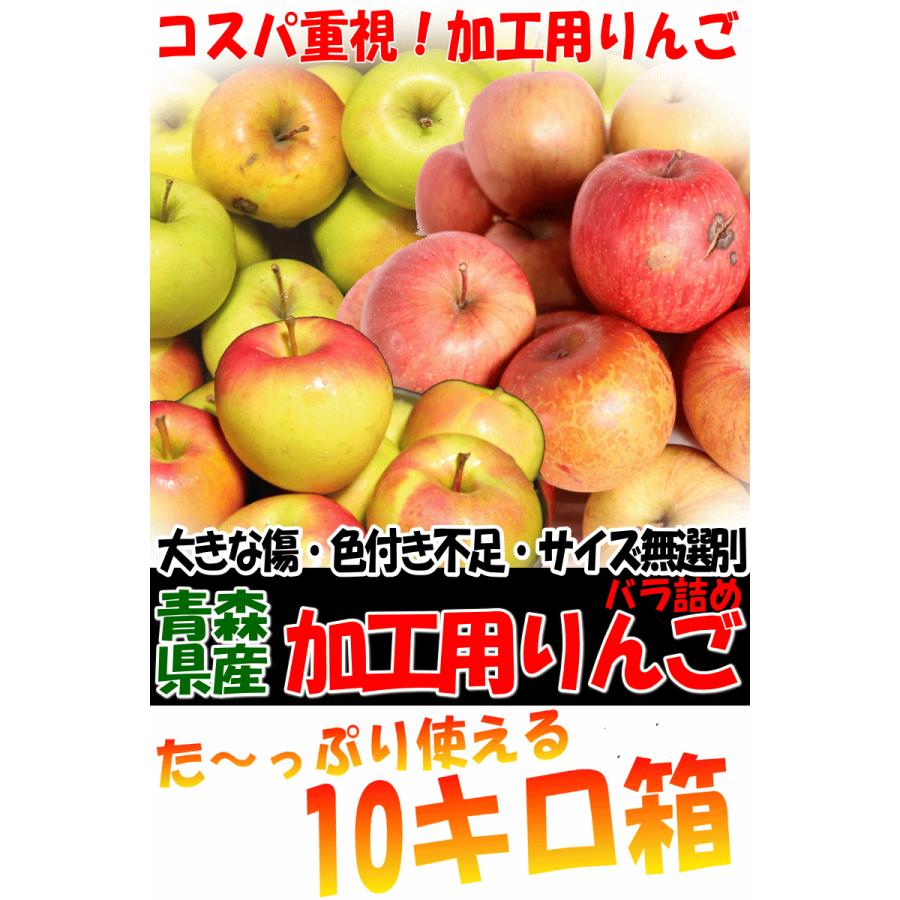 あすつく 青森 りんご 10kg箱 訳あり 加工用 選べる品種 送料無料 あすつく リンゴ 10キロ箱★品種選べる 加 10kg箱