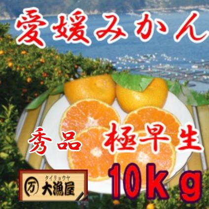 愛媛みかん　１０ｋｇ西宇和産 　秀品　送料無料S・M・L