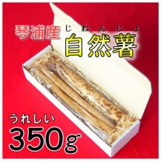 自然薯(じねんじょ)350g