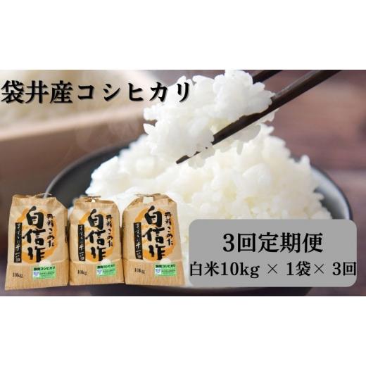 ふるさと納税 静岡県 袋井市 金賞受賞の農園がお届けするコシヒカリ10kg（3か月定期便）