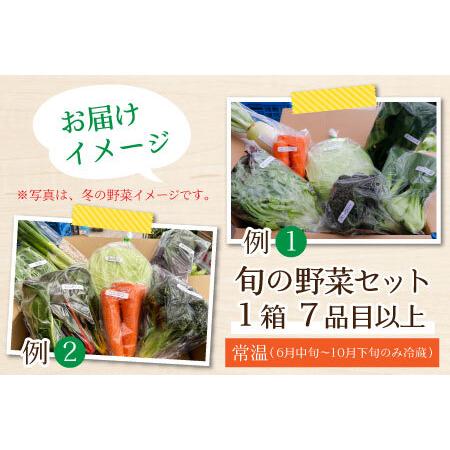 ふるさと納税 農家直送 旬の野菜セット 7品目以上 1箱 ／ 季節 野菜 ボックス BOX セット セレクト 農家 おまかせ 多品.. 福井県あわら市