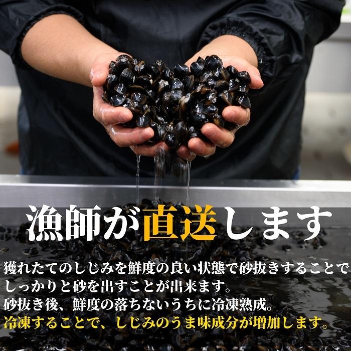 冷凍 しじみ 送料無料 砂抜き済み 特大粒 2Lサイズ 900g  味噌汁 漁師直送 島根県 宍道湖産 大和しじみ ギフト オルニチン 亜鉛 レシピ付き