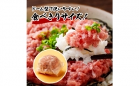 ネギトロ80g×18P＋漬け鮪丼90g×18P 冷凍配送 簡易包装 小分け 惣菜 人気 海鮮 ネギトロ丼 まぐろたたき 海鮮丼 便利 かんたん 自然解凍 個食 一人暮らし どんぶり 漬け丼 お手軽