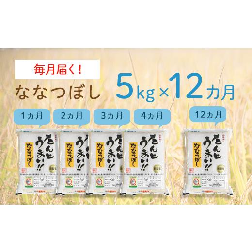 ふるさと納税 北海道 厚真町 《令和5年度産 新米》13年連続特A受賞　北海道・胆振のブランド米　毎月5ｋｇコース