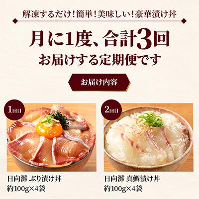 ふるさと納税 延岡市 日向灘 海鮮漬け丼 バラエティ(延岡市)全3回