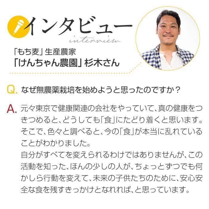 もち麦 もちむぎ 900g 無農薬 無肥料 自然栽培 ダイシモチ 宮崎県産 食物繊維