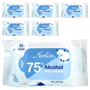 FARLIN 酒精濕紙巾 75%酒精 柔嫩觸感 小包裝方便攜帶  6包  1袋