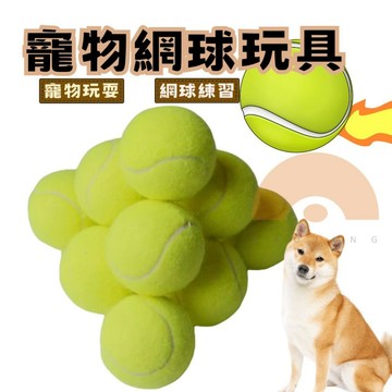 寵物網球 練習網球 網球 狗狗網球 寵物玩具 寵物玩具球 寵物耐咬球 彈力網球